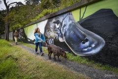 Platypus street art (by Jimmy Beattie) for conservation - Warburton
